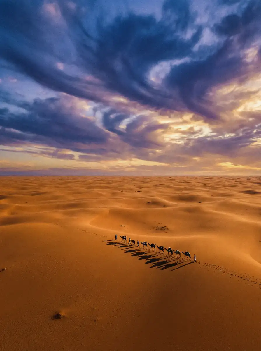 纪录片《丝路回响》 - 少萝视频 项目